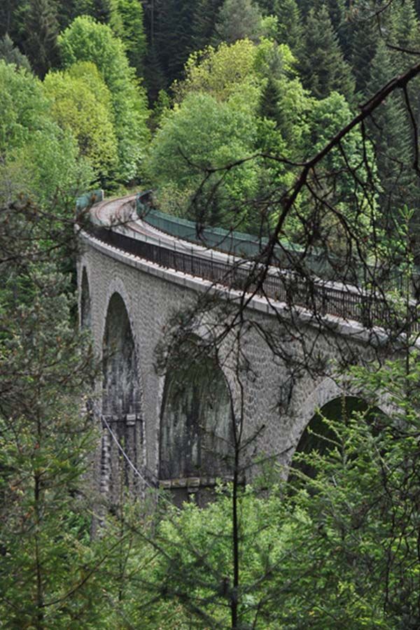 Vélorail du Velay : une activité nature Vélorail du Velay : une activité nature
