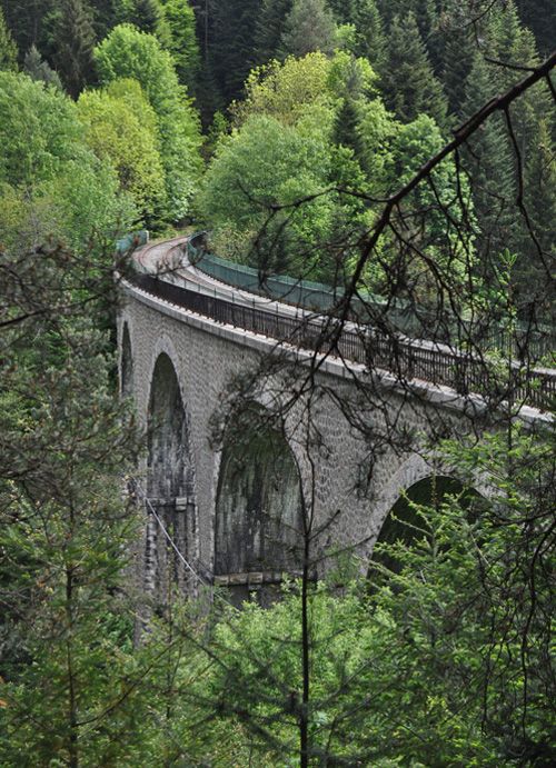 Evoluer dans la forêt sauvage, entre viaducs et tunnels Evoluer dans la forêt sauvage, entre viaducs et tunnels